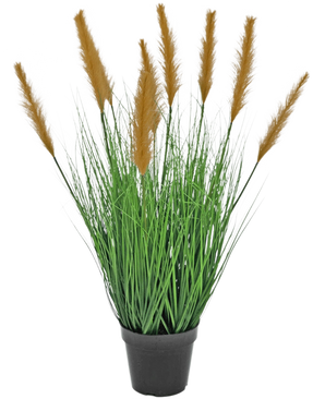 Le gazon artificiel d'autruche 80 cm ignifuge possède de longues et fines lames vertes et de hautes plumes brunes dans un pot noir, sur un fond blanc - idéal pour les amateurs de plantes artificielles.