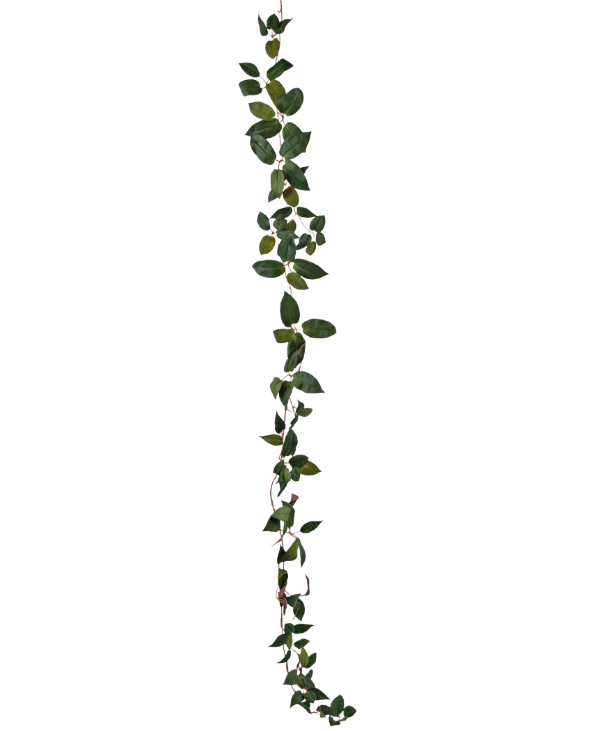 L'Art Tradescantia Garland Green 180 cm est une vigne à une seule feuille verte représentée verticalement sur un fond blanc uni.