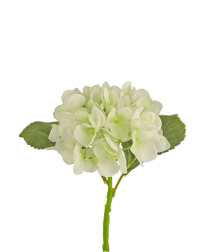 L'hortensia artificiel 34 cm blanc a des pétales blancs doux et ronds et deux grandes feuilles vertes sur une longue tige. Idéale comme fleur décorative pour tout intérieur moderne, sur fond blanc.