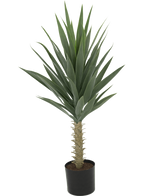 La Plante Yucca Artificielle 100 cm UV est un grand yucca artificiel avec de longues feuilles vertes pointues et un tronc épais, sur un fond blanc uni.