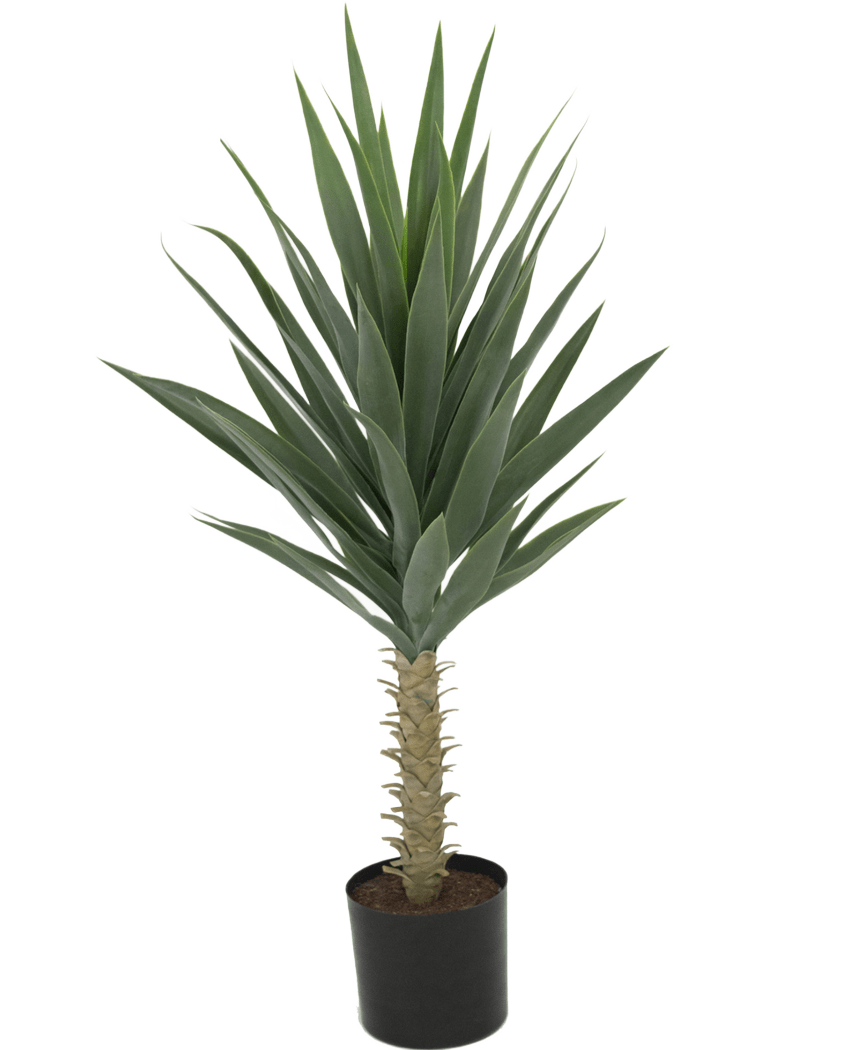 La Plante Yucca Artificielle 100 cm UV est un grand yucca artificiel avec de longues feuilles vertes pointues et un tronc épais, sur un fond blanc uni.