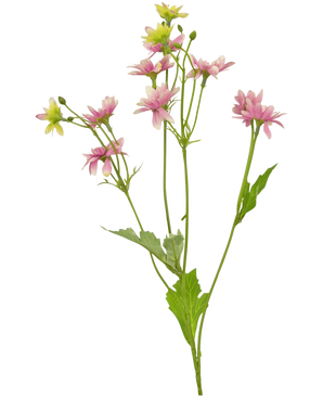 La Fleur Artificielle Madelief 55 cm rose est une fleur artificielle avec une seule tige verte avec plusieurs branches, chacune décorée de délicates fleurs ressemblant à des marguerites roses et blanches et de feuilles vertes dentelées, représentées sur un fond blanc.