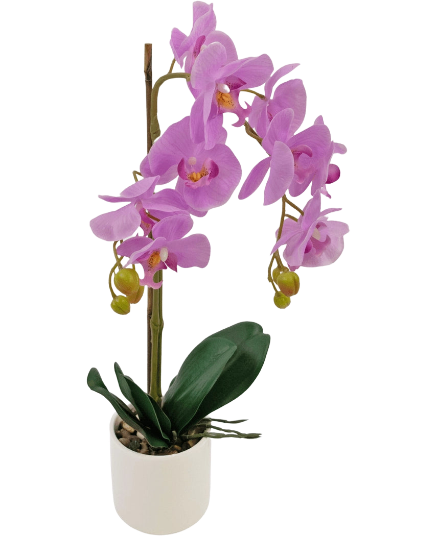 L'orchidée artificielle lilas de 52 cm en pot blanc a des fleurs lilas éclatantes, des bourgeons verts et de larges feuilles vert foncé, disposées dans un pot blanc élégant sur un fond blanc uni.