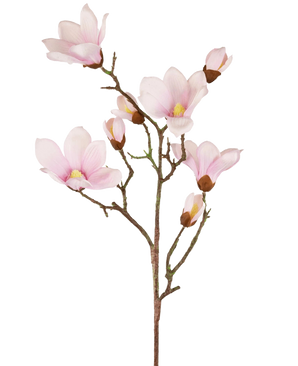 La Branche de Magnolia Artificielle Real Touch Rose 98 cm présente plusieurs fleurs et bourgeons de magnolia rose clair aux pétales doux, un cœur jaune et des tiges marron, le tout sur un fond blanc.