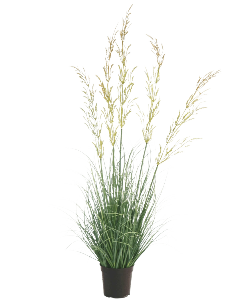 Le gazon artificiel de blé 90 cm ignifuge, avec ses fines feuilles vertes et ses longues pointes de fleurs jaunâtres, se détache magnifiquement sur un fond blanc - idéal parmi les plantes artificielles pour la maison et le jardin.