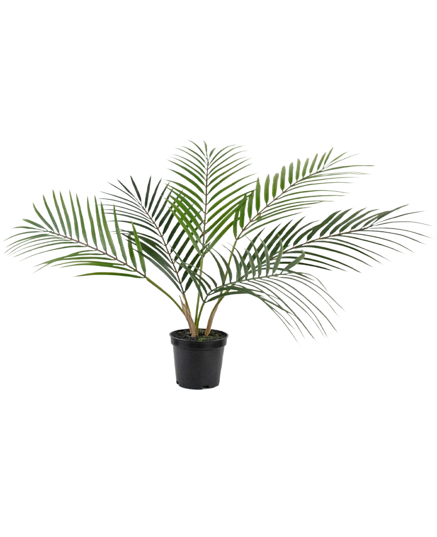 Le palmier artificiel Chamaedorea 48 cm a de longues feuilles vertes minces qui s'étalent vers l'extérieur et est présenté dans un simple pot en plastique noir sur un fond blanc uni.