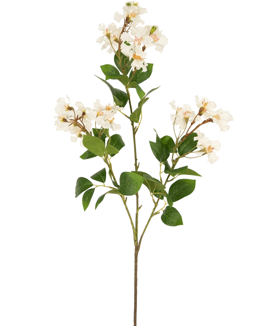 La fleur artificielle Lagerstroemia 92 cm blanche a une tige haute avec des grappes de petites fleurs blanches et des feuilles vertes, parfaites pour ajouter une beauté durable à n'importe quel espace. Idéale comme plante artificielle saisissante sur un fond blanc uni.