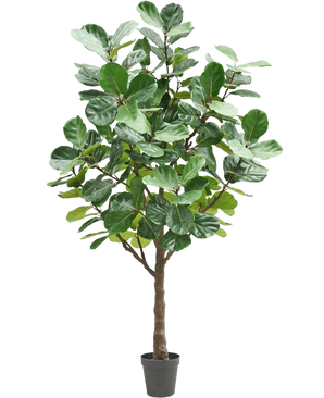 L'arbre à tabac artificiel de 270 cm est un grand arbre artificiel avec de grandes feuilles vertes luxuriantes et un tronc marron robuste, dans un petit pot noir sur un fond blanc uni.