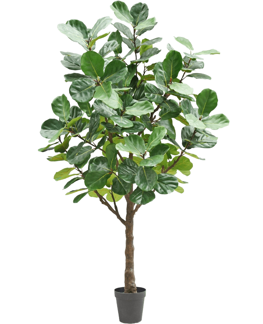 L'arbre à tabac artificiel de 270 cm est un grand arbre artificiel avec de grandes feuilles vertes luxuriantes et un tronc marron robuste, dans un petit pot noir sur un fond blanc uni.