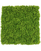 Un panneau carré résistant à la marque Artificial Hedge Mountain Moss mesurant 50 x 50 cm avec une mousse verte dense et vibrante, vue de dessus sur un fond blanc.