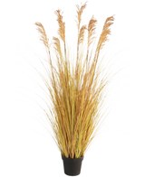 Le Gazon Artificiel Sorgho 150 cm ignifuge possède de longues lames jaune-vert et de hauts panaches bruns, ce qui en fait un choix parfait pour la décoration intérieure sur fond blanc.