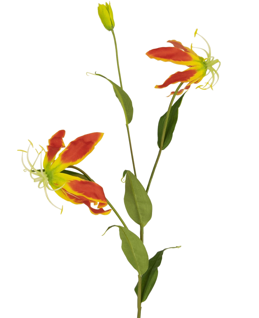 La fleur artificielle Gloriosa 81 cm rouge/jaune a deux fleurs de lys gloriosa rouges et jaunes ouvertes, un bourgeon fermé et un certain nombre de longues feuilles vertes, le tout sur un fond blanc uni.