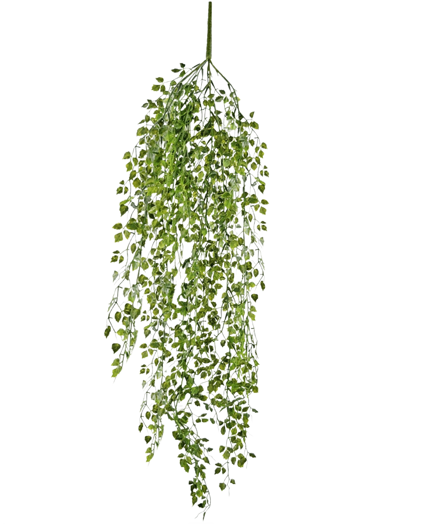 La plante artificielle suspendue mini lierre 91 cm possède des feuilles vertes sur de fines tiges sur un fond uni blanc.