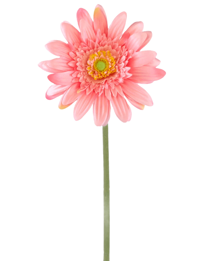 Une fleur artificielle Gerbera rose de 55 cm a un seul gerbera rose avec un cœur jaune-vert sur une longue tige verte, sur un fond blanc uni.