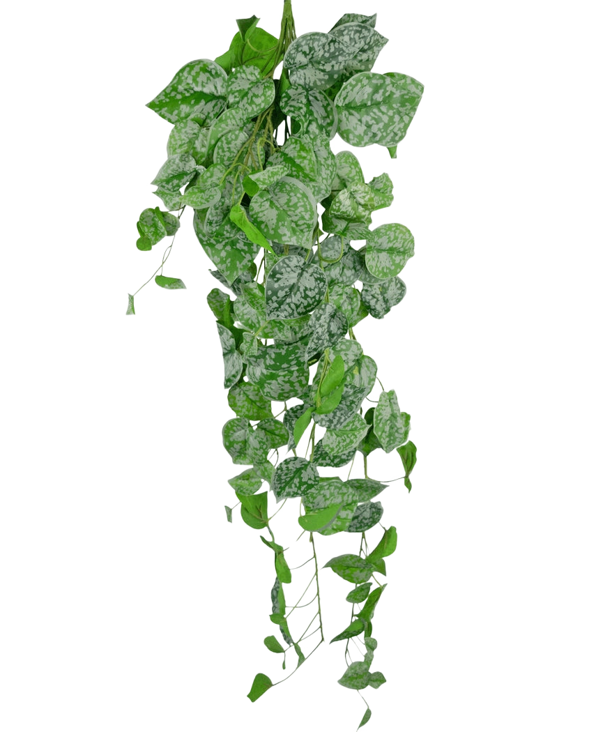 La Plante Artificielle Suspendue Scindapsus 90 cm est une plante grimpante suspendue dont les feuilles vertes en forme de cœur sont décorées de mouchetures blanc argenté, qui retombent sur un fond uni blanc.