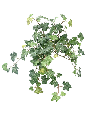 Le Lierre Artificiel Deluxe Vert 40 cm présente une grappe de feuilles de lierre vert vif avec des vignes torsadées sur un fond blanc uni.