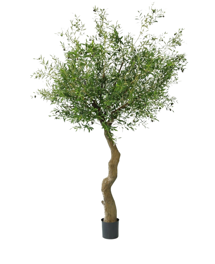 L'olivier artificiel de 270 cm avec des olives a un tronc torsadé et des feuilles vertes pleines avec des olives réalistes, joliment présentées dans un pot et représentées sur un fond blanc.