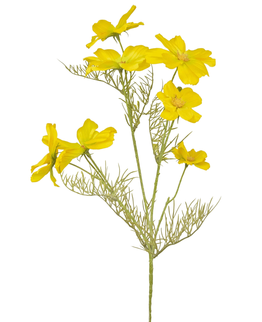 La fleur artificielle Cosmos 74 cm jaune a des fleurs jaune vif et de délicates feuilles vertes plumeuses sur de fines tiges - parfaites pour créer un bouquet sur un fond blanc uni.