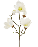 Une branche artificielle de Magnolia Real Touch White de 72 cm montre plusieurs fleurs et bourgeons de magnolia blancs avec des centres jaunes, sur un fond blanc uni.