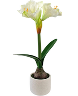 La fleur artificielle Amaryllis Real Touch blanche 48 cm a une fleur d'amaryllis blanche réaliste avec des feuilles vertes et un bulbe visible dans un petit pot blanc, parfait pour ajouter de l'élégance à n'importe quelle pièce.