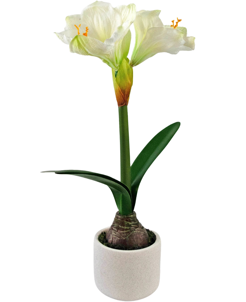 La fleur artificielle Amaryllis Real Touch blanche 48 cm a une fleur d'amaryllis blanche réaliste avec des feuilles vertes et un bulbe visible dans un petit pot blanc, parfait pour ajouter de l'élégance à n'importe quelle pièce.