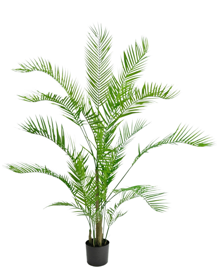 La Plante Artificielle Chamaedorea 150 cm est un grand palmier en pot avec de longues feuilles vertes arquées et des tiges élancées, sur un fond blanc uni.