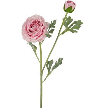 La Renoncule Artificielle Real Touch Rose 60 cm possède une tige unique avec une renoncule rose entièrement épanouie et un bourgeon fermé, accentué par des feuilles vertes profondément lobées, le tout sur un fond blanc.