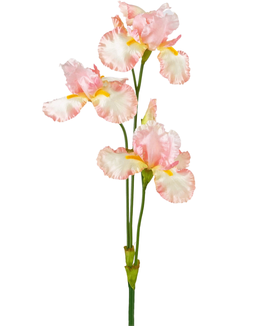 Une fleur d'iris artificielle de 102 cm rose clair présente plusieurs délicats volants rose clair et blancs avec des accents jaunes sur un fond blanc uni.