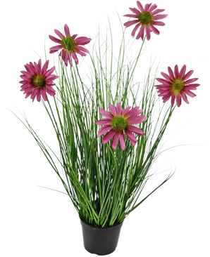 Le gazon artificiel chrysanthème 60 cm ignifuge a de longues et fines feuilles vertes ressemblant à de l'herbe et six fleurs de chrysanthème roses avec un cœur jaune dans un pot noir, sur un fond blanc uni.