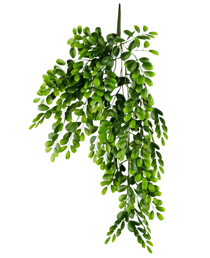 La plante artificielle suspendue Pumila 86 cm est une branche artificielle réaliste avec de multiples tiges de petites feuilles ovales vert vif, qui semblent luxuriantes et en cascade sur un fond blanc uni.