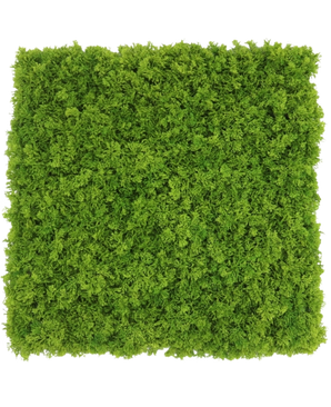 Un panneau carré résistant à la marque Artificial Hedge Mountain Moss mesurant 50 x 50 cm avec une mousse verte dense et vibrante, vue de dessus sur un fond blanc.