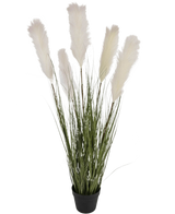 Le pot de gazon en tissu de gazon artificiel de 120 cm ignifuge a de hautes feuilles vertes ressemblant à de l'herbe et des panaches de pampa blancs moelleux dans un pot noir, sur un fond blanc uni.