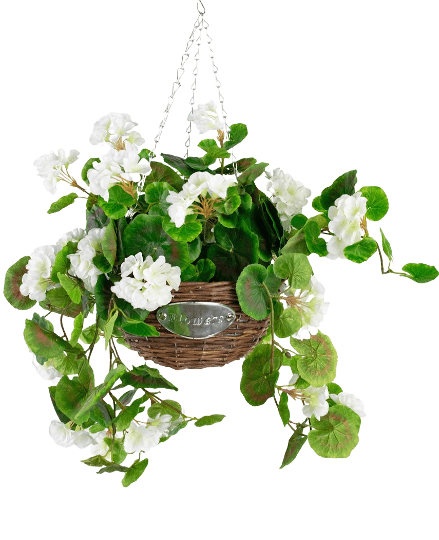 Le Bégonia Artificiel Blanc en Panier UV 70 cm présente des feuilles vertes et des fleurs de bégonia blanches dans un panier en osier avec une chaîne en métal, sur un fond blanc uni.