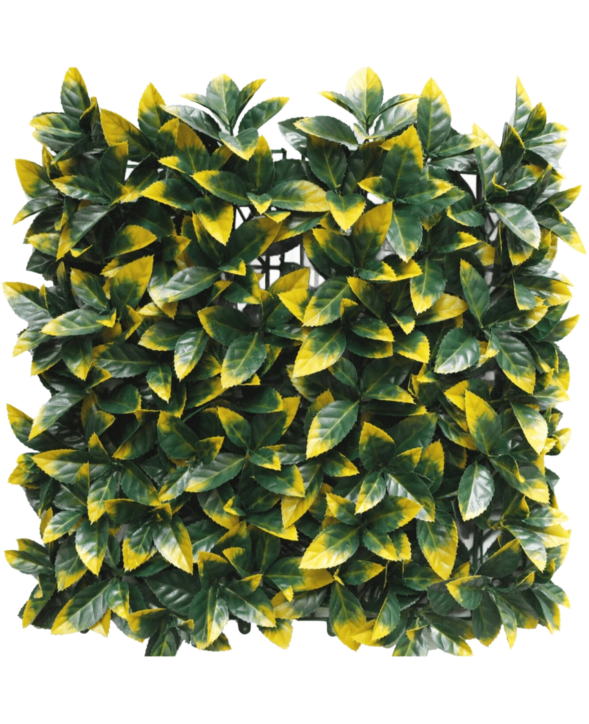 La Haie Artificielle Photonia jaune 50x50 cm UV présente des panneaux carrés et denses de feuilles artificielles panachées vertes et jaunes pour un aspect luxuriant et vivant. La couche raster est partiellement visible derrière le feuillage pour une installation facile.