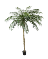 Le Palmier Artificiel Phoenix De Luxe 250 cm possède un tronc structuré et de longues feuilles vertes courbées dans un petit pot noir, sur un fond uni blanc.