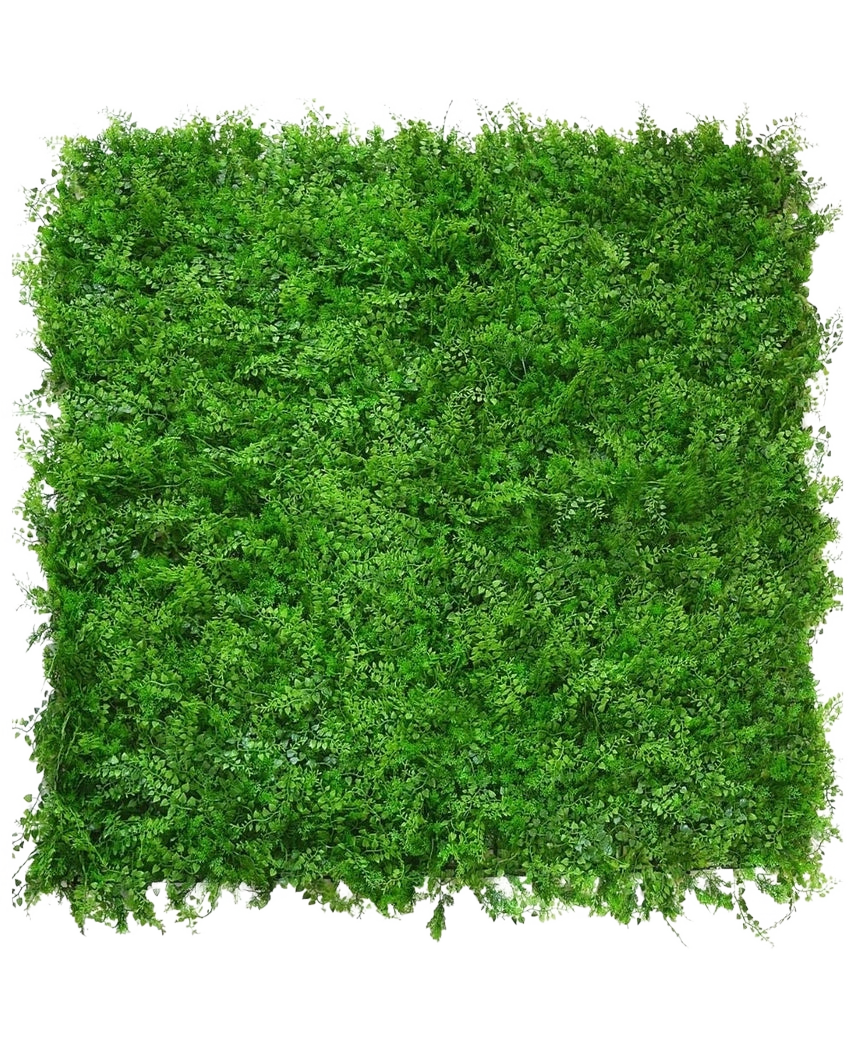 La fougère/conifère de haie artificielle 50x50 cm est un tapis dense et carré de feuillage vert vif avec de petites folioles, vu de dessus sur un fond blanc, ressemblant à une haie verte naturelle et luxuriante avec une surface uniforme et texturée.